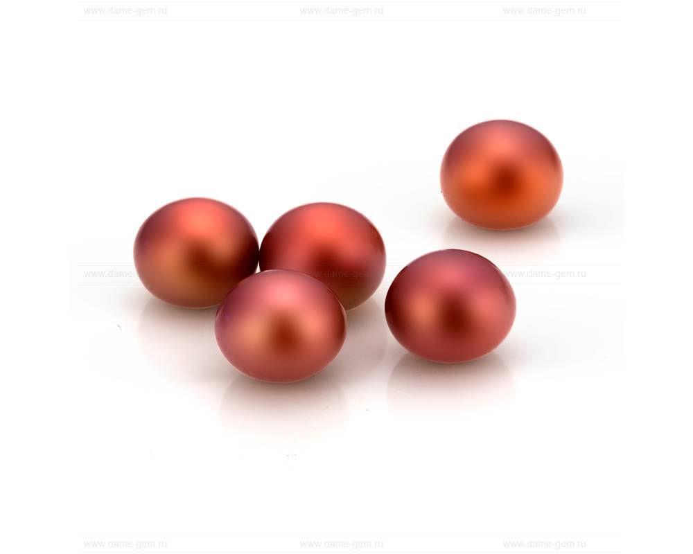 Жемчужина сплющенная шоколадная 9,5-10 мм. Класс наивысший ААА. Артикул 10560 Жемчужина сплющенная шоколадная 9,5-10 мм. Класс наивысший ААА. Артикул 10560